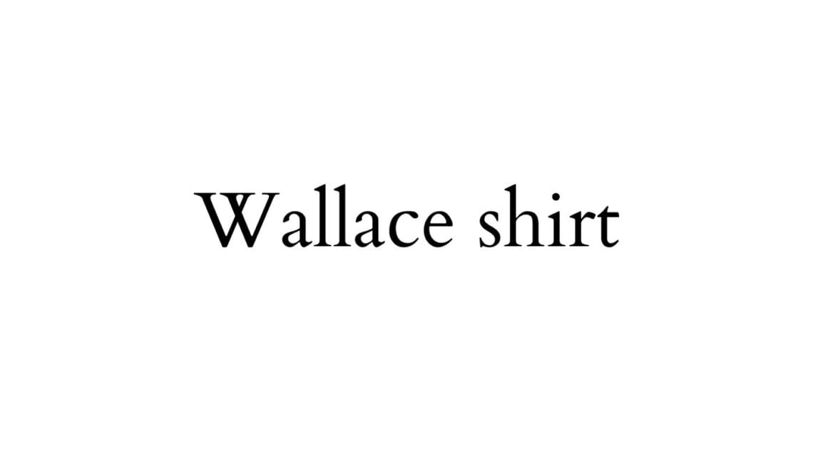 Wallace shirt