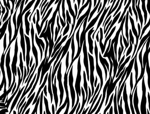 Stile zebrato