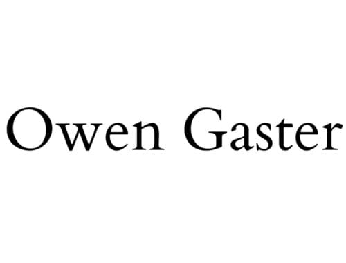 gaster owen