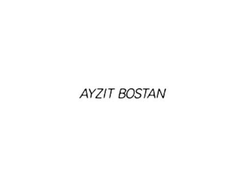 Ayzit Bostan