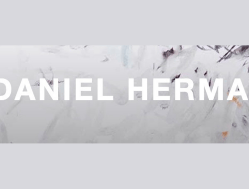 Daniel Herman